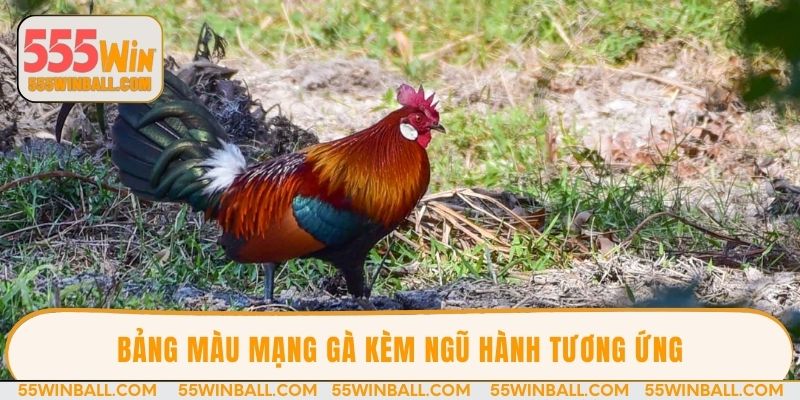 Bảng màu mạng gà kèm ngũ hành tương ứng