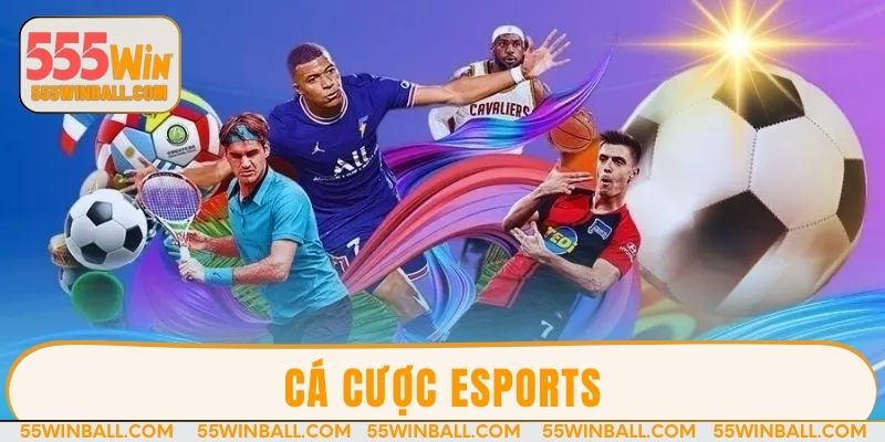 Cá cược Esports - Trải nghiệm các tựa game hot nhất 2025