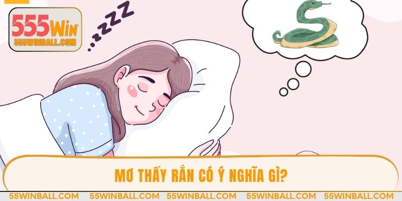 Mơ thấy rắn có ý nghĩa gì?