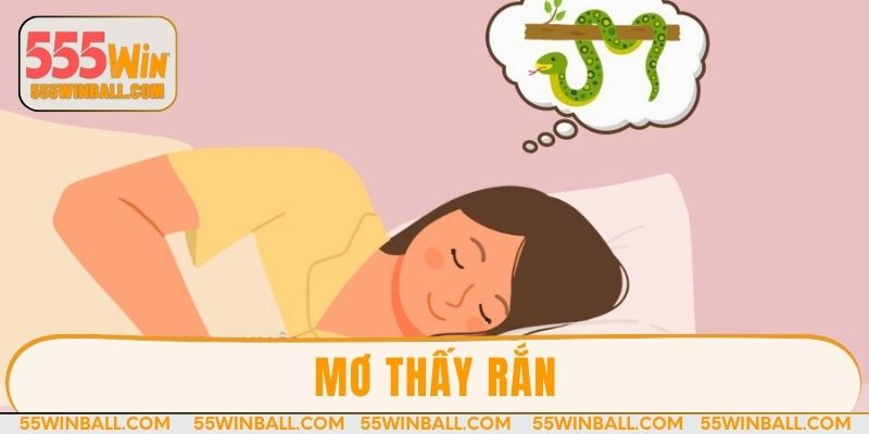 Giải mã giấc mơ thấy rắn và dự đoán các con số may mắn