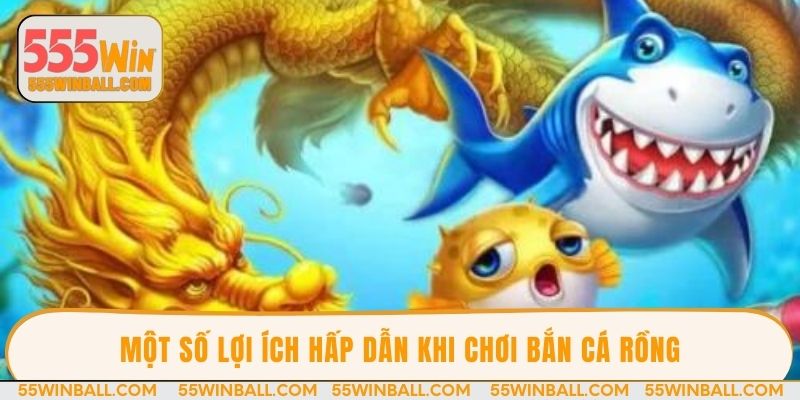 Một số lợi ích hấp dẫn khi chơi bắn cá rồng