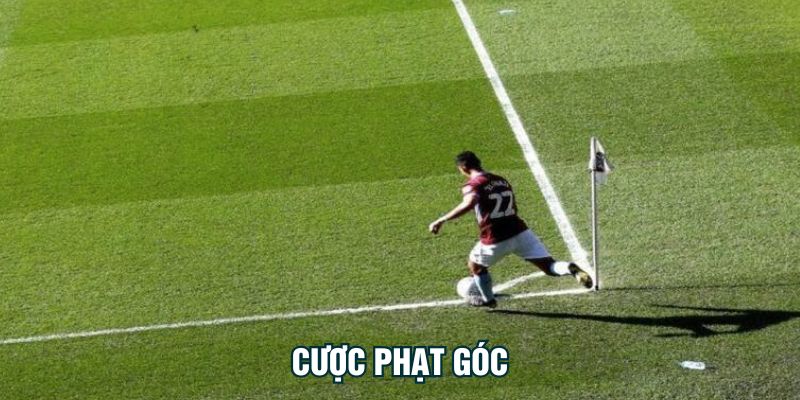 Cược phạt góc